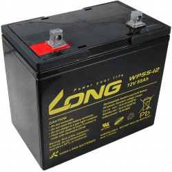 Long 12v 55ah Lead Acid Battery F15 (wp55-12)