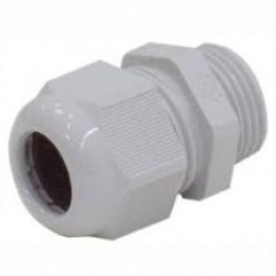 Cable Gland Pg13.5